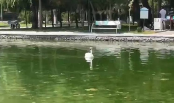 Кадр из видео