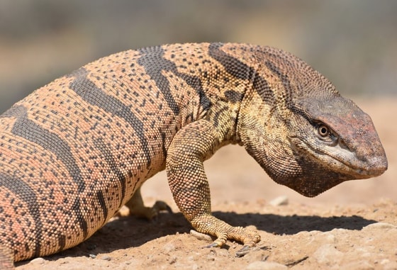 Ситуативное фото / vsegda-pomnim.com