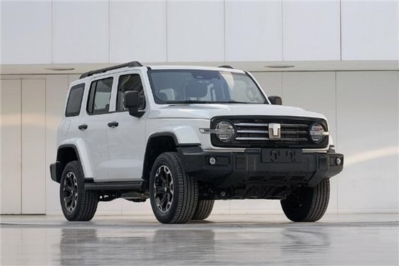 Фото: Great Wall