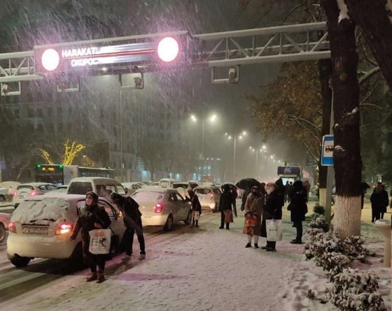 Фото: Открытые источники