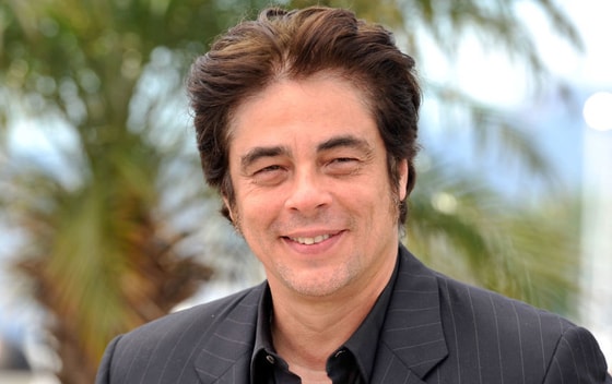 Фото: Открытые источники