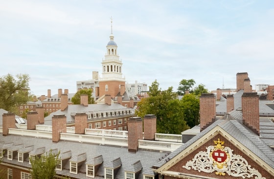 Фото: Common App