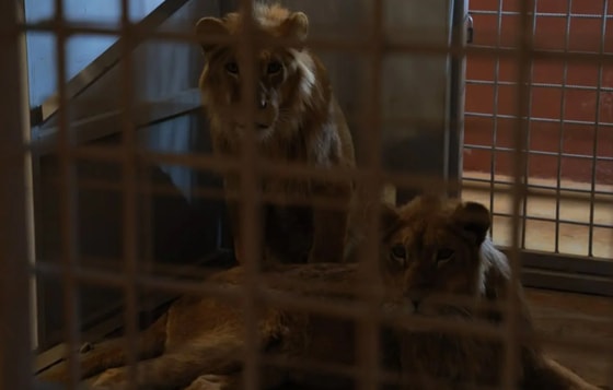 Фото: Минэкологии