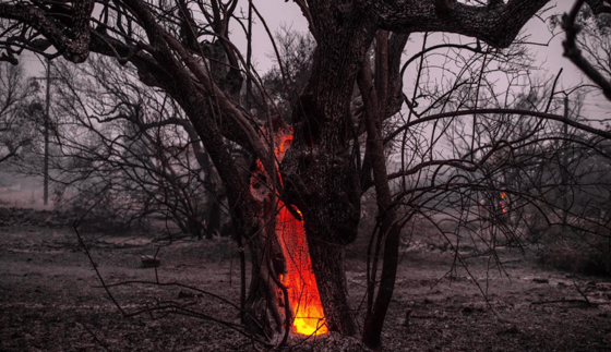 Фото:&nbsp;Angelos Tzortzinis / AFP / Scanpix / LETA