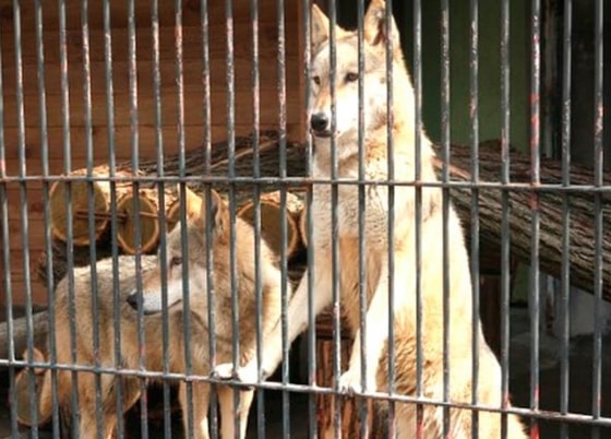 Фото: Управление экологии Андижанской области