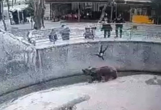 Кадр из видео