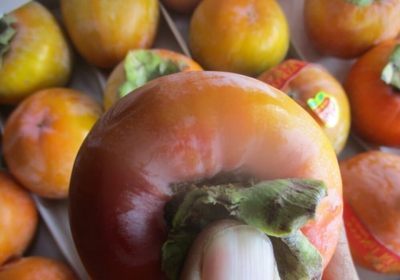 Фото: Открытые источники