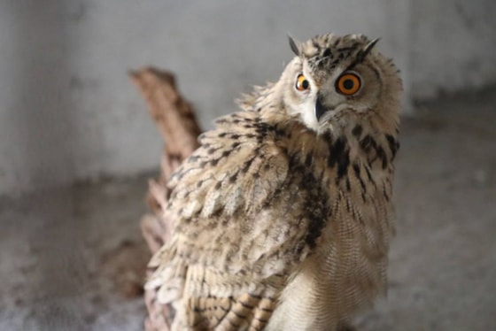 Фото: Минэкологии