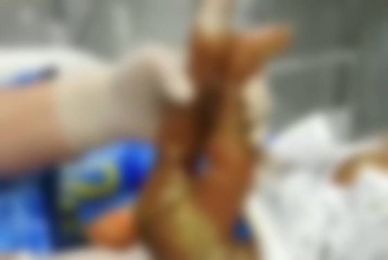 Фото: Кадр из видео