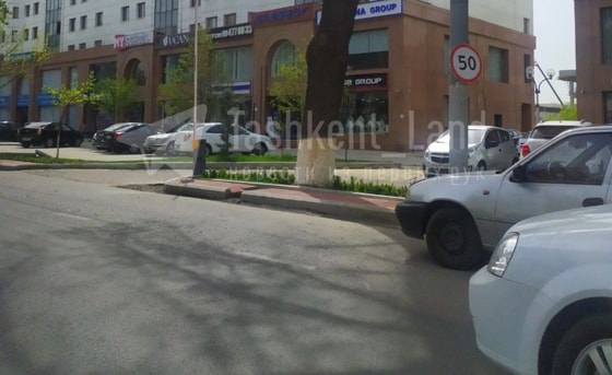 Фото: Tashkent_Land