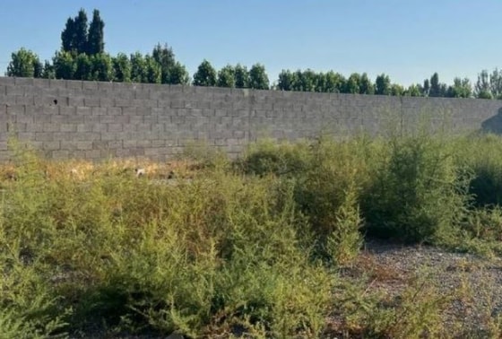 Фото: Департамент при Генпрокуратуре