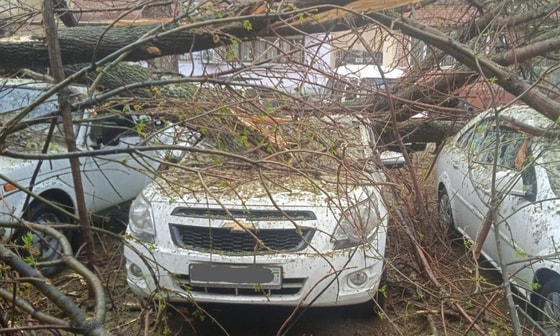 Фото: УЧС Ташкента