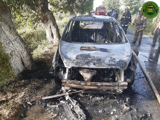 Фото: ГУБДД