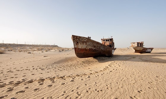 Фото: Открытые источники