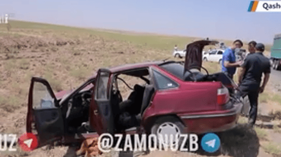 Кадр из видео