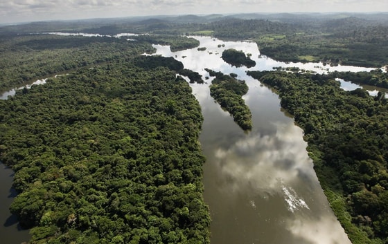 Фото: Getty Images