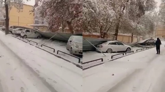 Кадры из видео