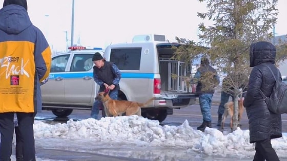 Фото: Кадр из видео