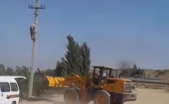 Фото: Скриншот из видео