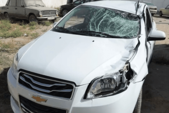 Фото: Qalampir.uz