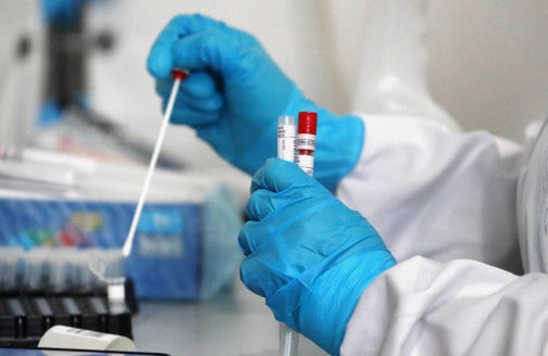 Фото: Открытые источники