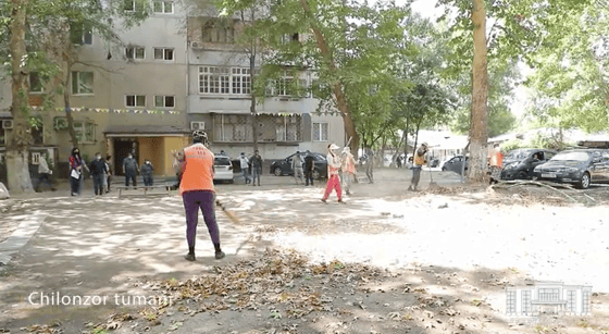 Фото: Кадр из видео