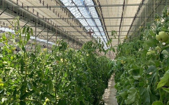 Фото: Минэнерго