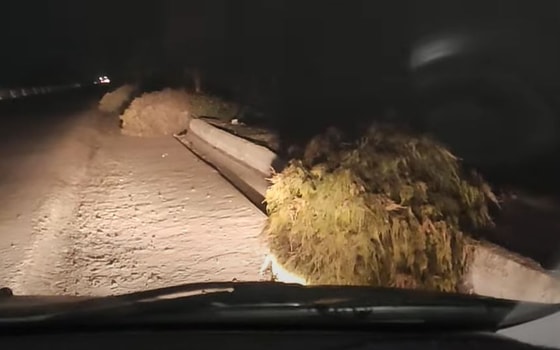 Кадр из видео