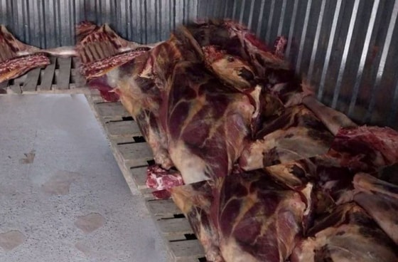 Фото: Департамент при Генпрокуратуре