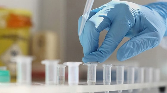 Фото: pravda.com.