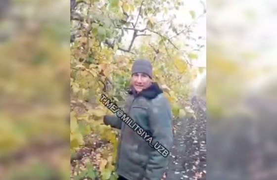 Кадр из видео&nbsp;