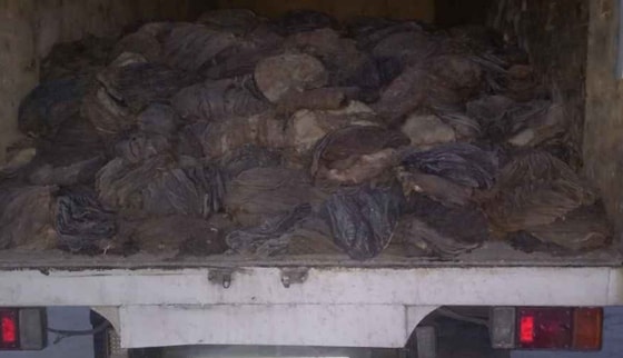 Фото: Департамент при МВД