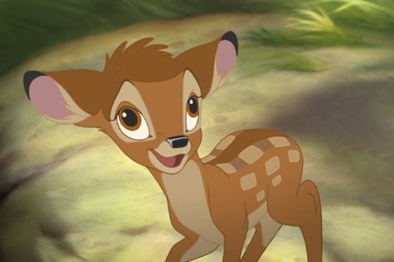 Фото: Чемпионат