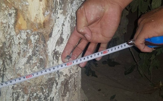 Фото: Открытые источники