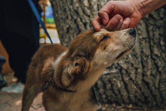 Фото: Авакян Маргарита / Repost.uz