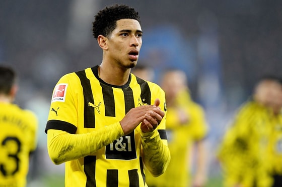 Фото: Чемпионат