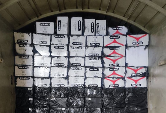 Фото: Пресс-служба таможенного управления Сурхандарьинской области