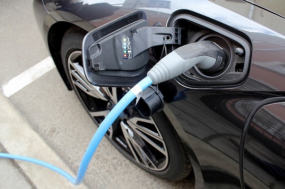 Фото: Открытые источники