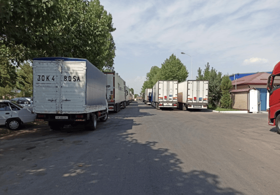 Фото: Открытые источники