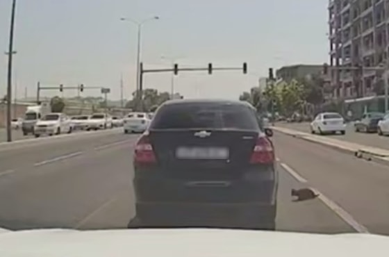 Кадр из видео