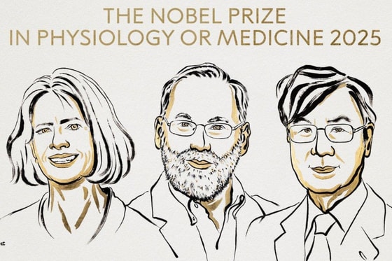 Мэри Брунков, Фред Рамсделл и Шимон Сакагучи / Нобелевский комитет