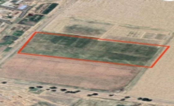 Фото: Генеральная прокуратура