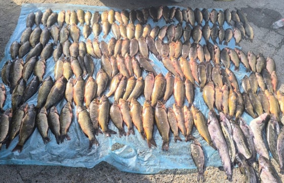 Фото: Управление экологии Бухарской области