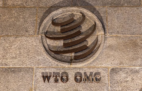 Фото: Robert Hradil/Getty Images