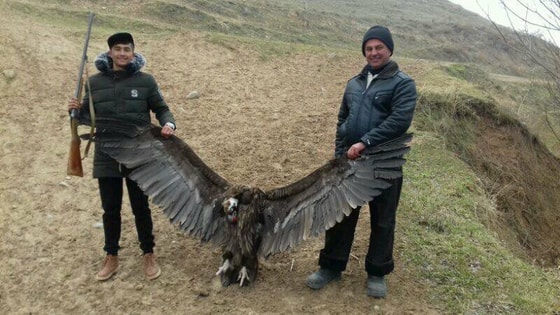 Foto: Telegram