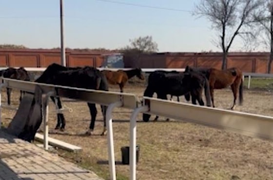 Кадр из видео