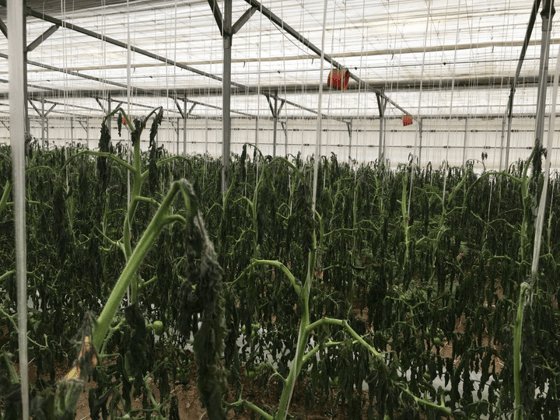 Фото: zarnews.uz