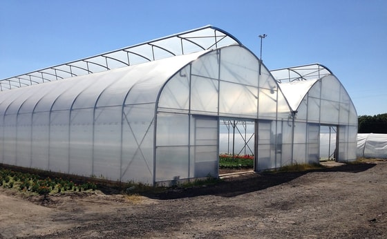 Фото: Открытые источники