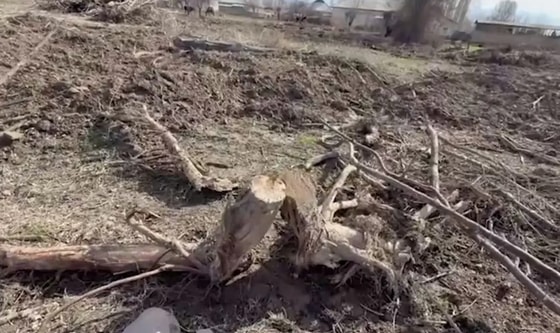 Фото: Комитет по экологии