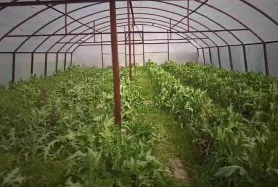 Кадр из видео